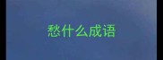 愁什么成语