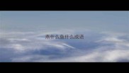 燕什么鱼什么成语