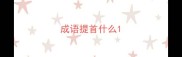 成语提首什么