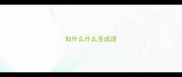 如什么什么至成语
