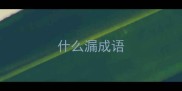 什么漏成语