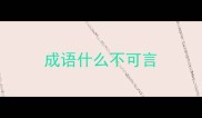 成语什么不可言
