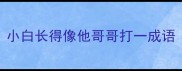 小白长得像他哥哥打一成语