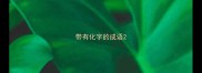 带有化字的成语