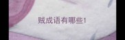 贼成语有哪些