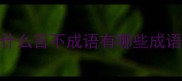 什么言不成语有哪些成语