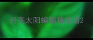 月亮太阳蝙蝠猜成语