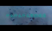 什么什么什么军的成语