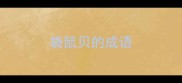 袋鼠贝的成语
