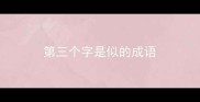 第三个字是似的成语