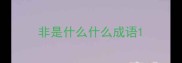 非是什么什么成语
