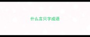 什么言只字成语
