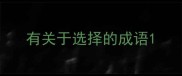 有关于选择的成语