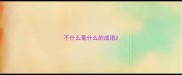 不什么毫什么的成语