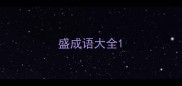 盛成语大全
