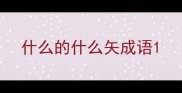 什么的什么矢成语