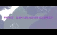 寒梅傲雪逆境中绽放的坚韧品格及职场启示