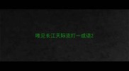 唯见长江天际流打一成语