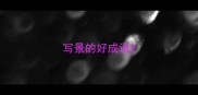 写景的好成语