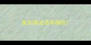 象和猴成语有哪些