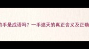 最大的手是成语吗一手遮天的真正含义及正确用法