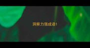 洞察力强成语