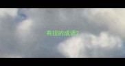 有扭的成语