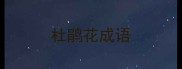 杜鹃花成语