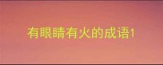 有眼睛有火的成语