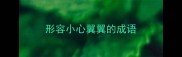 形容小心翼翼的成语