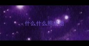 什么什么照成语