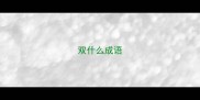 双什么成语