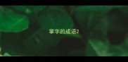 掌字的成语
