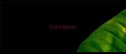 论语书猜成语