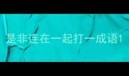 是非连在一起打一成语