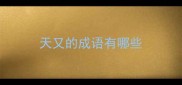天又的成语有哪些