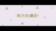 皓月的成语