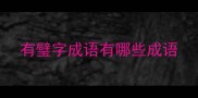 有璧字成语有哪些成语