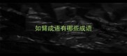 如臂成语有哪些成语