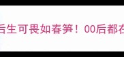 爆款成语TOP10后生可畏如春笋00后都在用的黑话你敢信