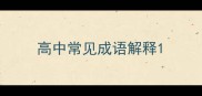 高中常见成语解释