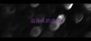 滋开头的成语