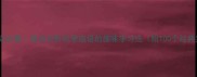 小学语文必看用日记形式学成语的趣味学习法附100个经典案例