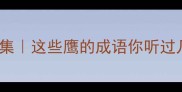 Top30鹰成语合集这些鹰的成语你听过几个附用法