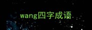wang四字成语