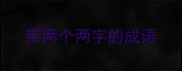 带两个两字的成语