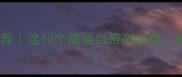 芳字成语推荐这10个成语自带高级感美到极致