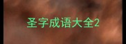 圣字成语大全