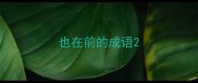 也在前的成语