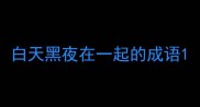 白天黑夜在一起的成语